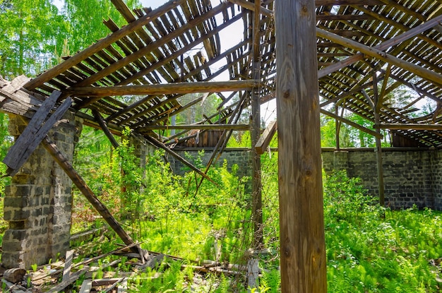 Una estructura de madera en un bosque con la palabra viejo