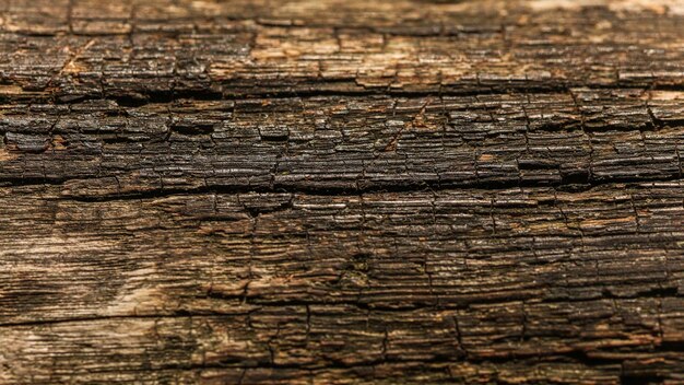 Estructura de madera vieja (sol que brilla a bordo en banco de madera). Fondo natural abstracto.