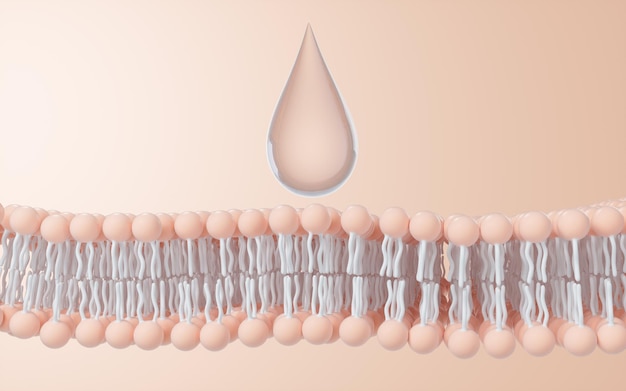 Foto estructura de la membrana celular de fondo renderización 3d dibujo digital