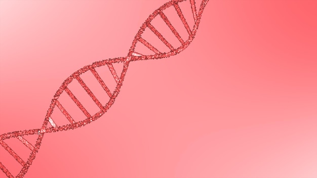 Estructura de la molécula de ADN hebra de ADN