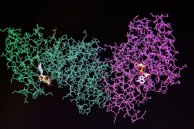 Estructura de la molécula de proteína