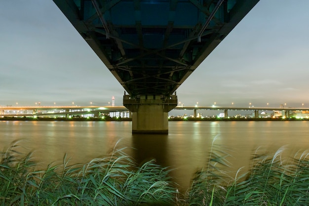 Estructura de puente ferroviario sobre las aguas del río con especial atención a las cañas de primer plano por la noche