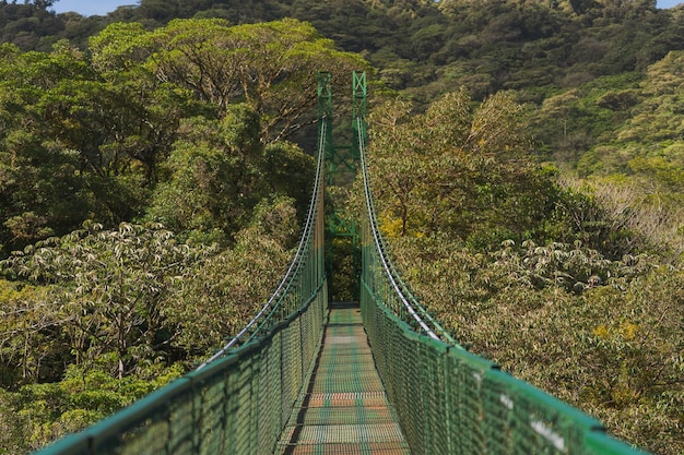 Estrutura da ponte suspensa na natureza