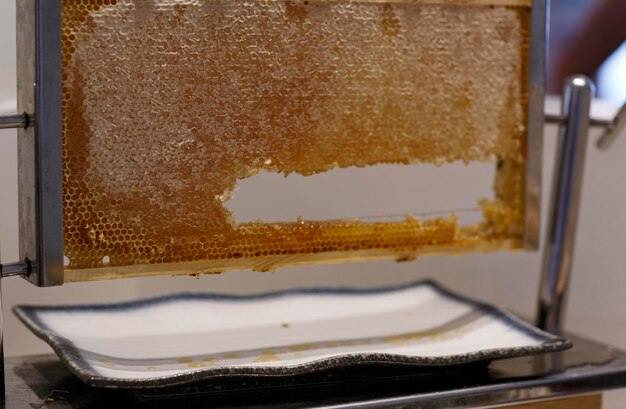 Estrutura de madeira de favo de mel com mel fresco em um prato branco de perto Tabela de favo de mel doce orgânico natural com mel gotejando no prato Foco seletivo Mel gotejando no prato Sobremesa deliciosa