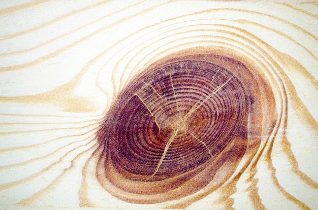 Estrutura detalhada do nó na superfície de madeira
