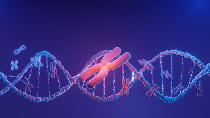 Foto estrutura em espiral do dna dna hélice cadeia complementar de sequências código genético ou genoma banco de dados de nucleotídeos de expressão gênica o processo de transcrição e tradução do dogma central renderização em 3d