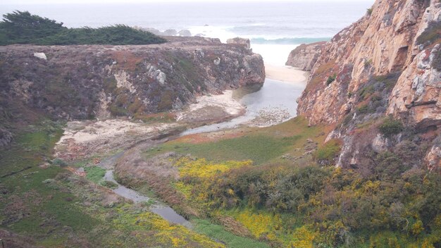 Estuario del arroyo del río en el acantilado de la montaña del cañón o la costa del océano de California