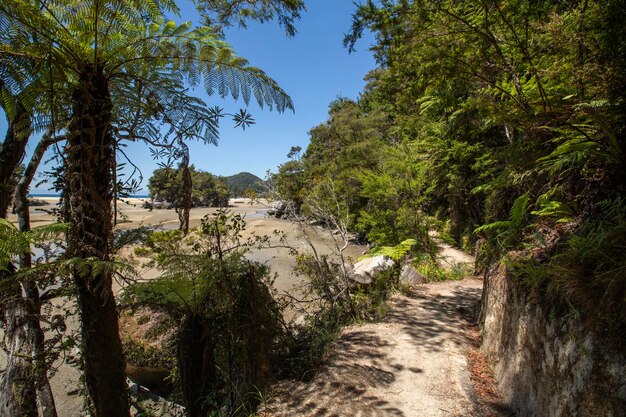 El estuario de la bahía de Bark en el Parque Nacional Abel Tasman de Nueva Zelanda