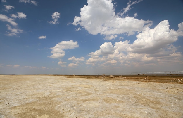 Estuario