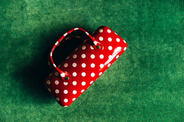 Foto estuche para gafas en forma de bolso de mujer