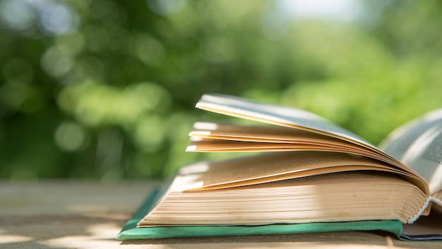 Estudando no conceito de verão Lendo um livro aberto em uma mesa de madeira em um jardim ensolarado dia de verão