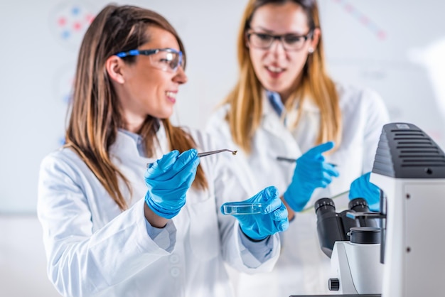 Estudantes do sexo feminino pesquisando amostras em laboratório