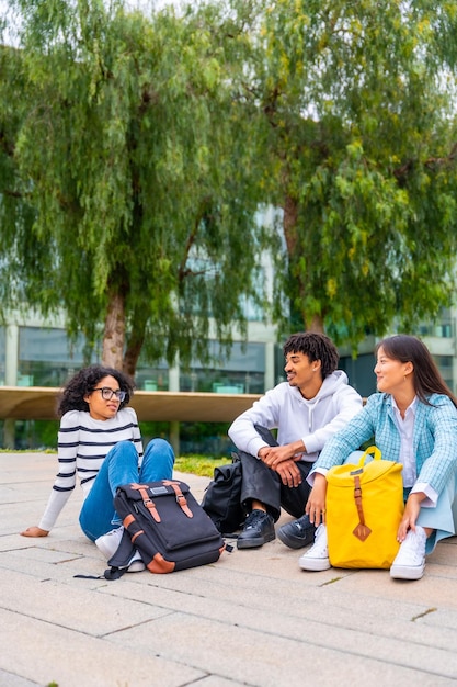 Estudantes relaxados sentados no campus da universidade conversando juntos