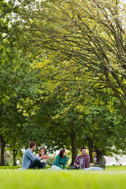 Estudantes universitários sentados na grama no parque