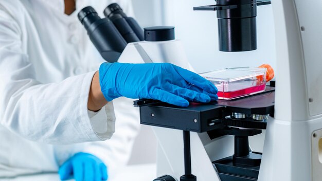 Estudiante femenina en laboratorio colocando matraz de cultivo en el escenario de observación del microscopio