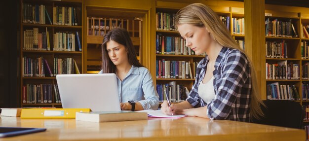 Estudiantes atractivos que trabajan en la biblioteca de la universidad.