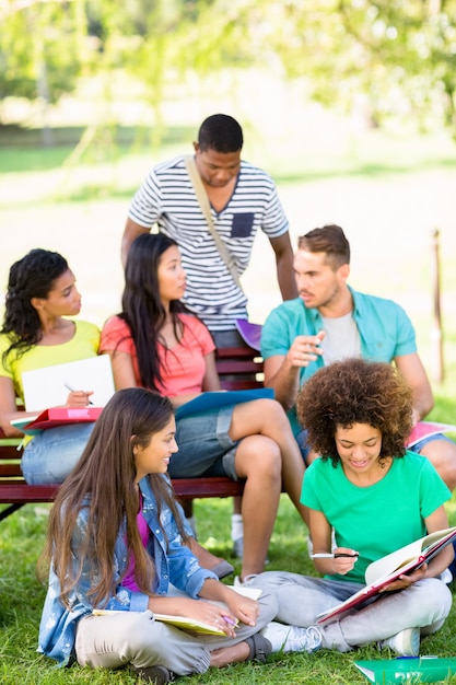 Estudiantes que estudian en el campus de la universidad