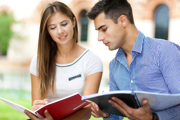 Estudiantes que estudian en un parque