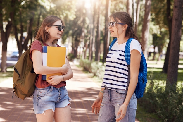 los estudiantes universitarios se reúnen accidentalmente en el parque, llevan bolsas y libros, tienen una conversación agradable, charlan sobre las últimas noticias en la universidad, se preparan para el examen de verano. Personas, estudiar y amistad