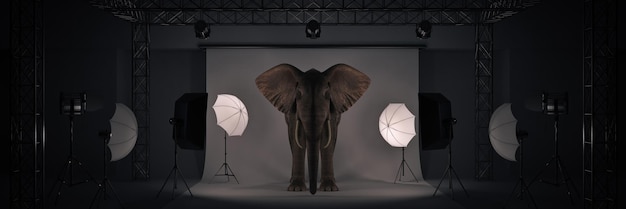 estudio fotográfico con representación 3d de elefante