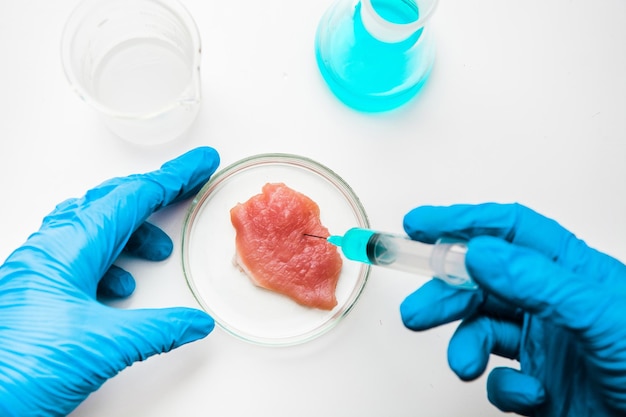 Estudos laboratoriais de carne em placa de Petri Experiência química