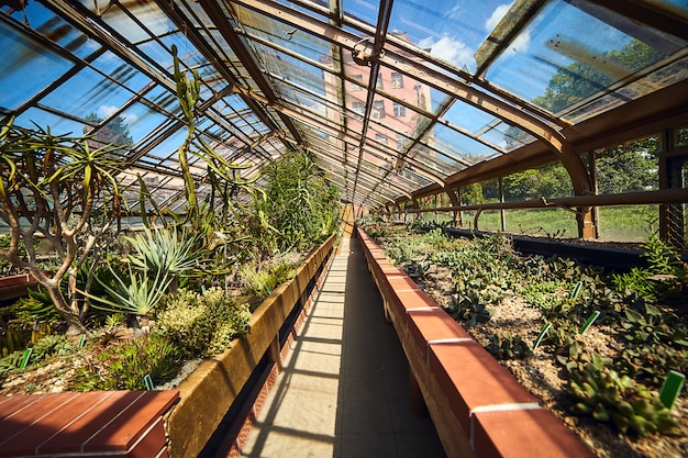 Estufa no jardim botânico da Universidade, Wroclaw, Polônia.