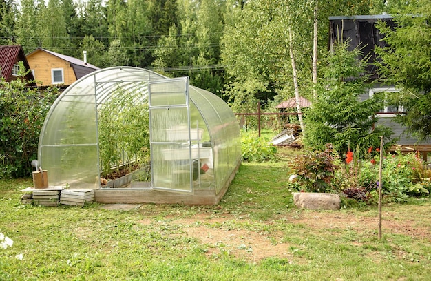 Estufa no quintal com uma porta aberta cultivando tomates e pepinos no verão em seu jardim