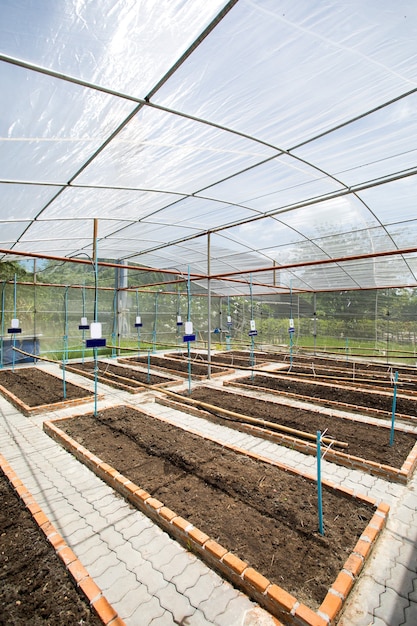 Estufa vegetal no interior da Tailândia