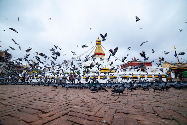 Foto la estupa de boudhanath en katmandú, nepal