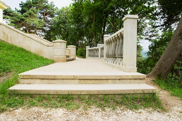 Etapas de pedra no caminho do parque em árvores e fundo de grama ao ar livre