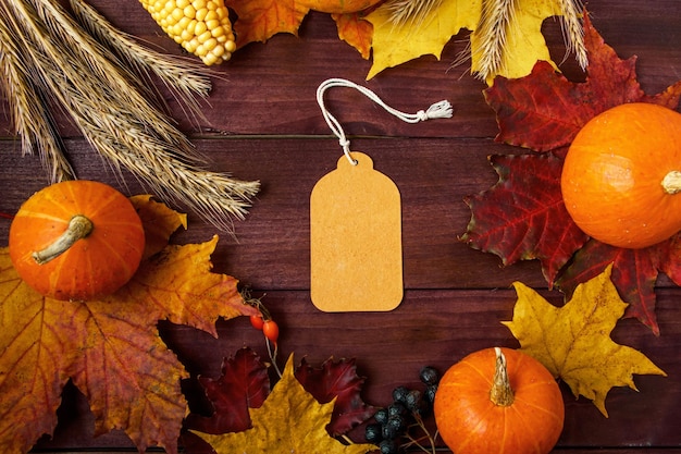 Etiqueta en blanco sobre fondo de madera Venta de otoño Calabazas maduras hojas y bayas de colores caídos Concepto de acción de gracias y cosecha Espacio de copia