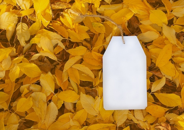 Etiqueta de papel branco em branco deitada no chão em folhas caídas de outono