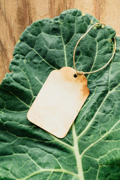 Etiqueta de papel em branco e folhas frescas de Collard em fundo de madeira