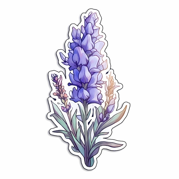 Etiqueta engomada de la acuarela de la flor de lavanda ramita de Lavandula angustifolia