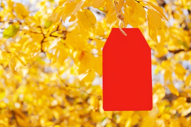 Etiqueta de papel rojo en blanco colgando de las ramas del árbol de otoño con hojas amarillas