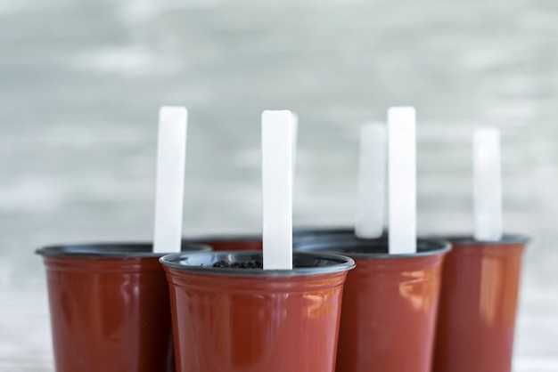 Etiquetas brancas em vasos marrons. Vasos de plantas em branco de madeira