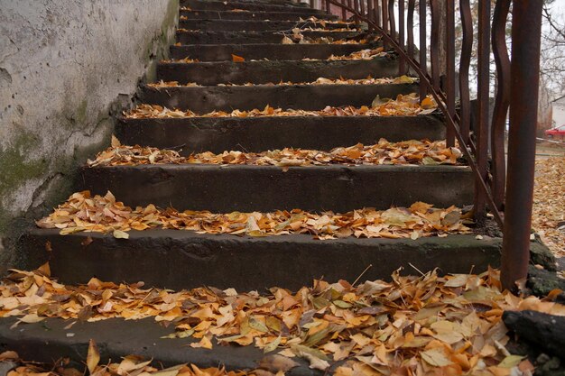 Etude de otoño con una escalera de la casa vieja