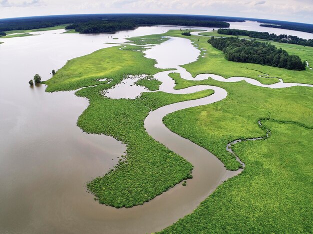 EUA, Virgínia, pântanos do rio Chickahominy