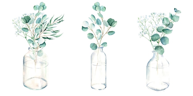 Eukalyptus- und gypsophilazweige in der hand gezeichneten botanischen illustration des vasenglasaquarells lokalisiert