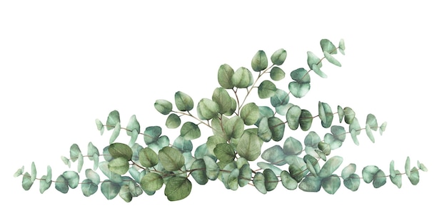 Eukalyptuspflanze Bouquet Grün Aquarell dreieckige Zusammensetzung grün silberner Dollarbaum