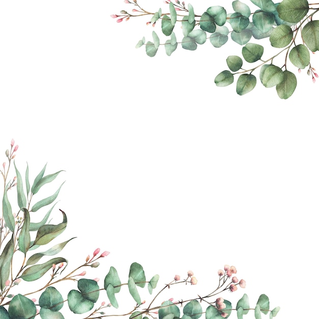 Eukalyptuspflanze mit Gypsophila Blume Zweig quadratischer Rahmen Aquarell Blumenbanner grüner Baum