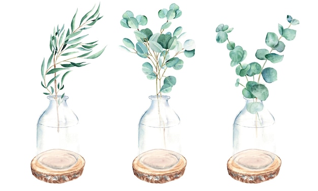 Eukalyptuszweige in Vasen Glasflaschen auf runden Holzsägen schneidet Weide Silberdollar True Blue