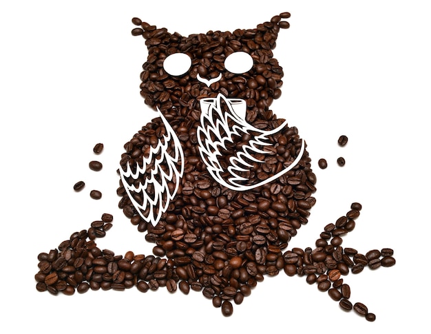 Eule aus Kaffeebohnen. Eule trinkt eine Tasse Kaffee, isoliert auf weißem Hintergrund. Kreative Idee. Flache Lage, Ansicht von oben