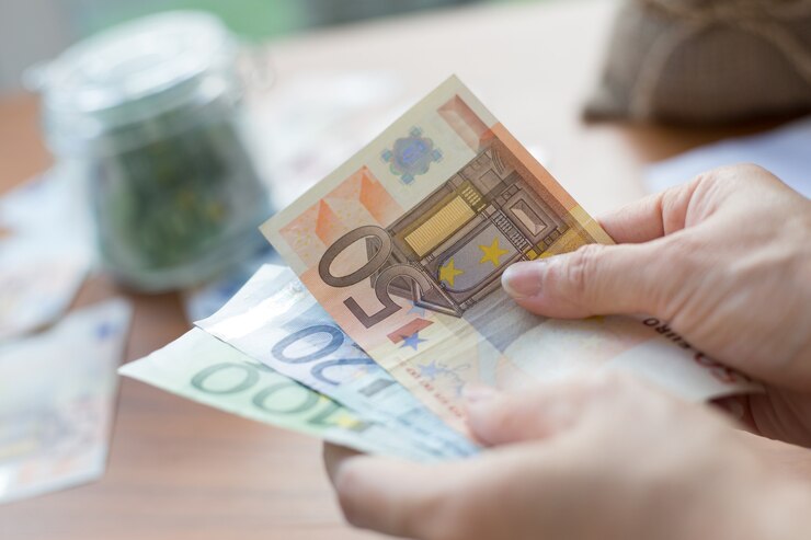 Euro-Geldbank für Ihr Budget zur Investition.