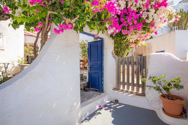 Europa Grecia Santorini viaje de vacaciones. Mirando la vista escénica en el famoso destino romántico de viajes