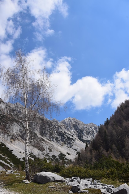 Foto europäische alpen