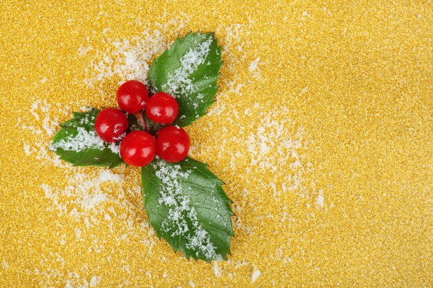 Europäische Stechpalme (Ilex aquifolium) mit Beeren auf gelbem Hintergrund