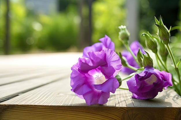 Eustoma blüht auf einer Holzterrasse im Garten