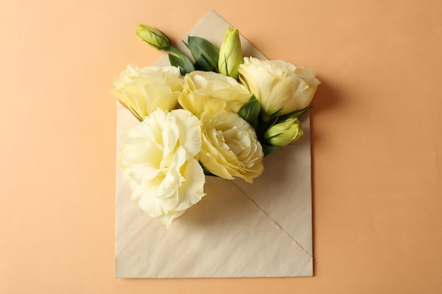 Eustoma branco em envelope em fundo bege