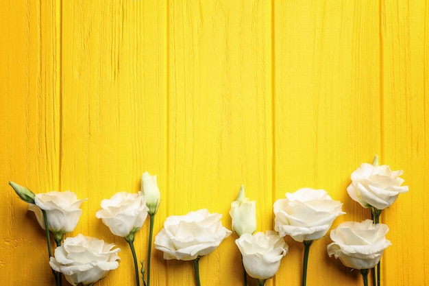 Eustoma em fundo de madeira amarelo